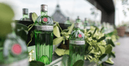 Tanqueray
