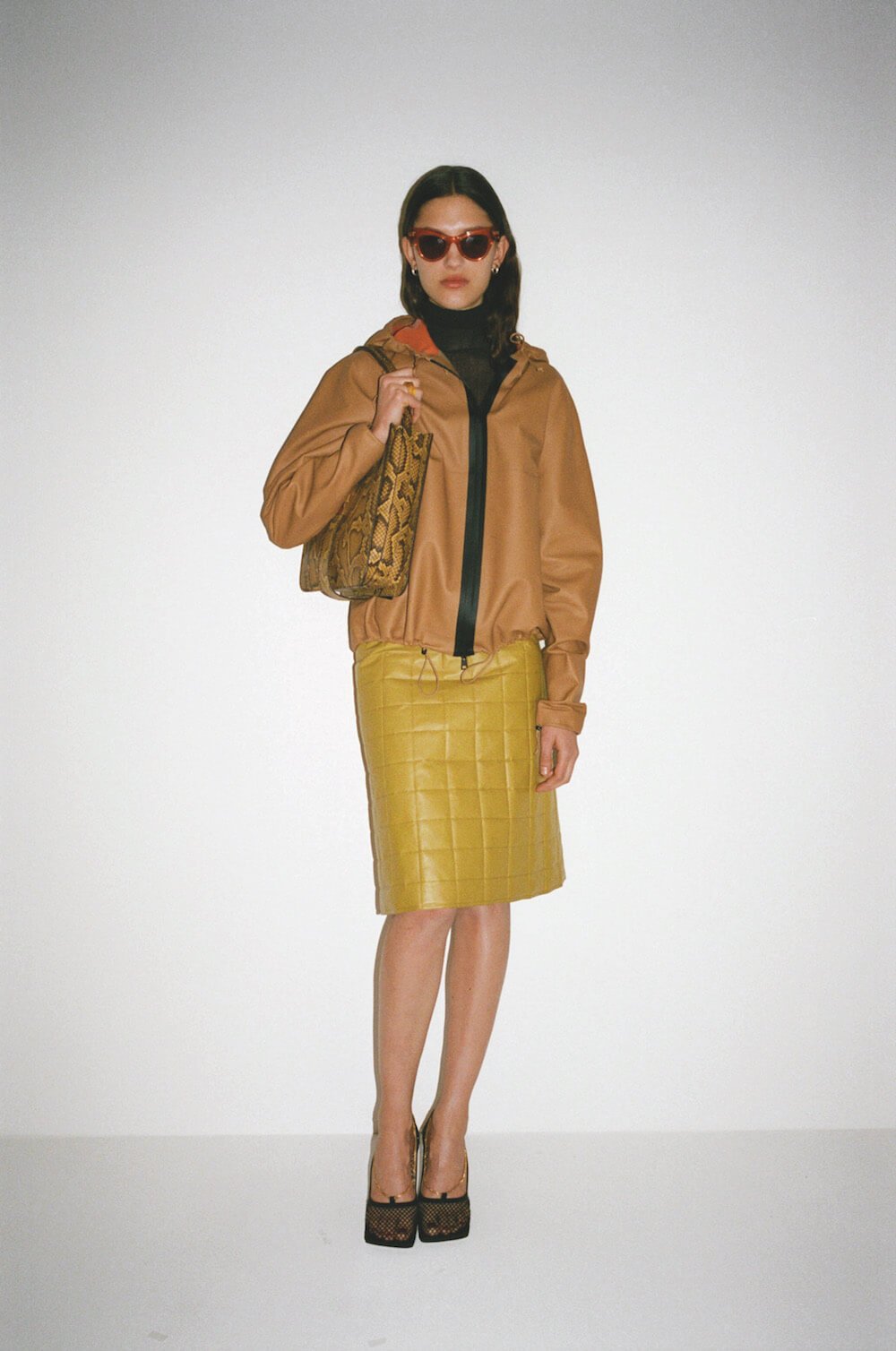 bottega pre fall 2019