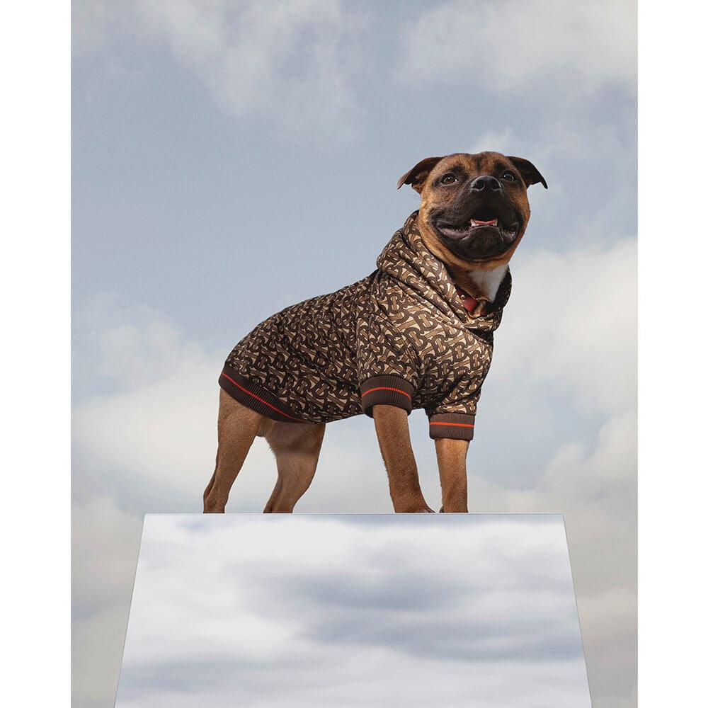 Burberry Serve Canine With Their Latest B Series Drop - Magazine