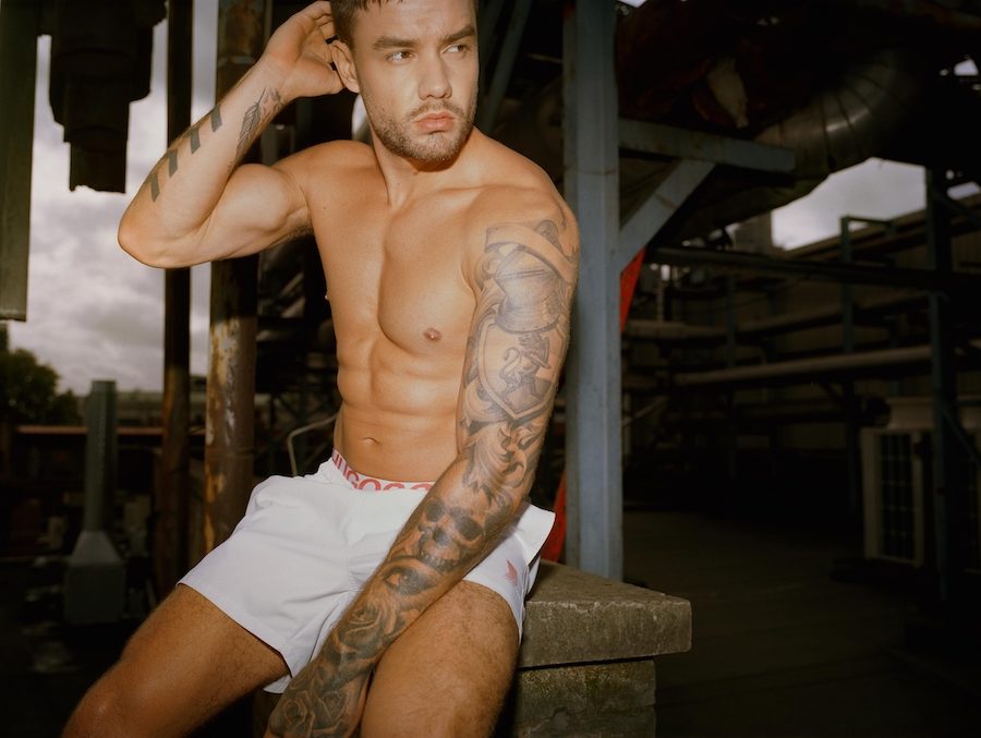 liam payne hugo collection